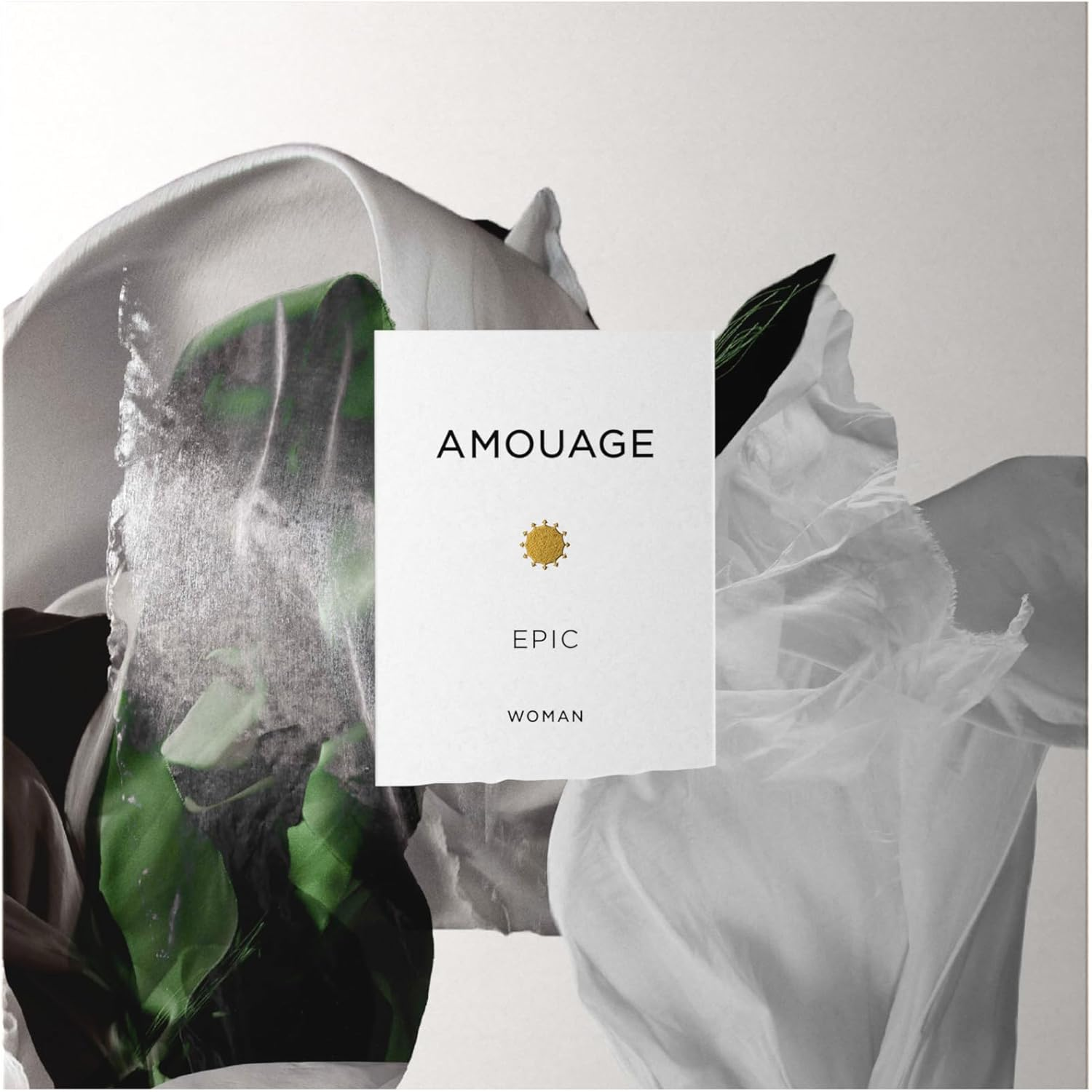 Amouage Ladies Epic Eau De Parfum Spray 100 Ml image number 1
