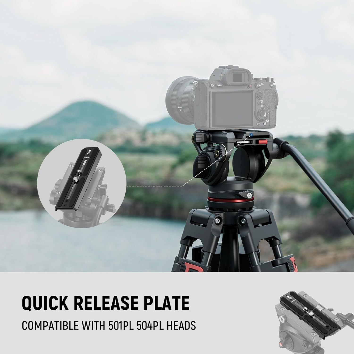 NEEWER 501PL Tripod Quick Release Plate Compatible with MVH500AH MVH502AH, 6.3"/16Cm Extended Camera Mounting Plate with 1/4" 3/8" Screws, anti off Pin for GM001 GM002 GM006 Fluid Heads, QR6 image number 6