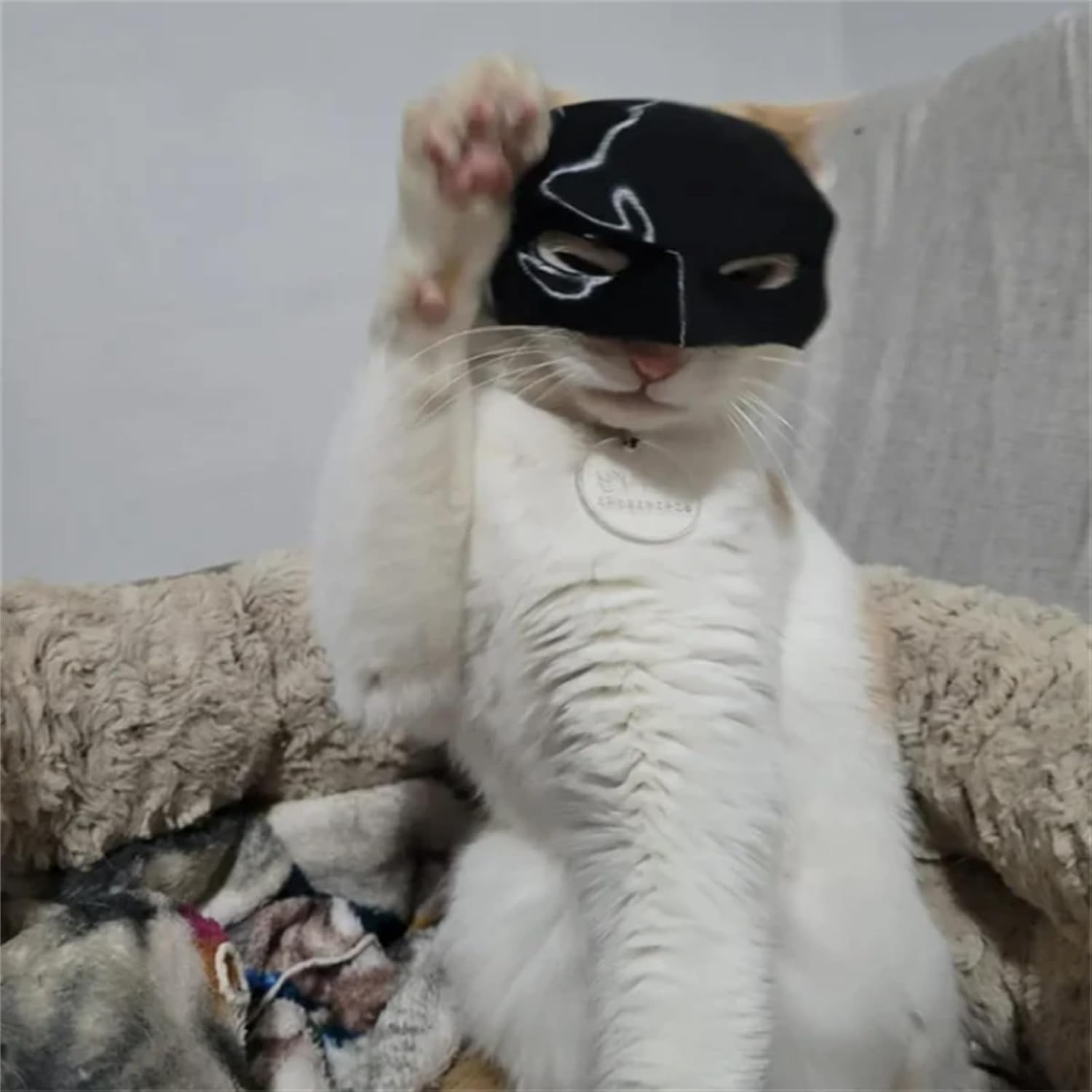 Cat Clothing Accessories, 3D Cat Mask, Costume for Cats, Cat Costume Photo Props, Funny Cat Mask for Halloween, Carnival or Everyday Fun (M) image number 5