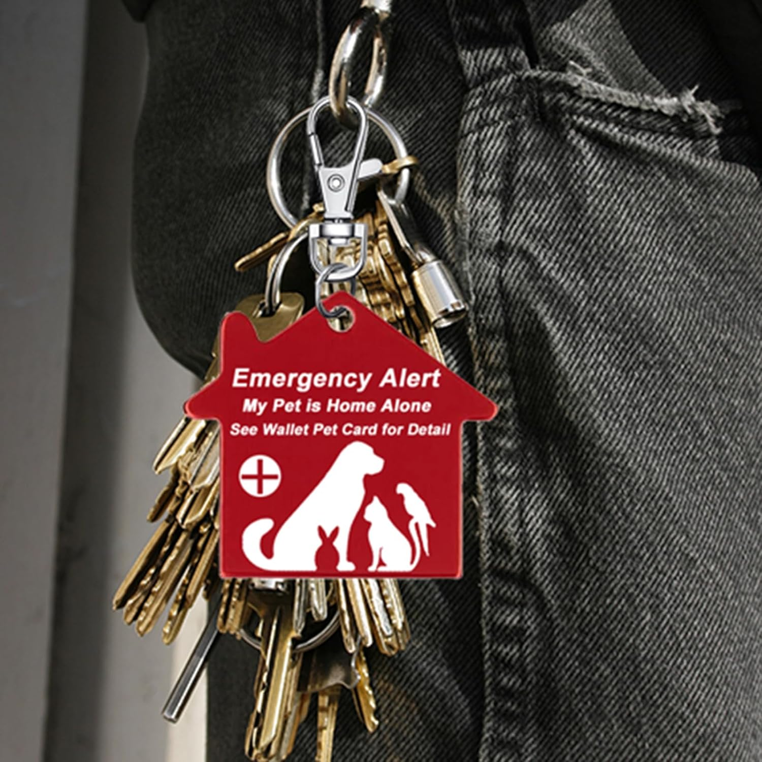 10 Pcs My Pet Is Home Alone Emergency Contact Wallet Card Writable with 10 Pcs Sleeves and 2 Pcs Emergency Alert See Wallet Pet Card for Detail Keychain Tag image number 5