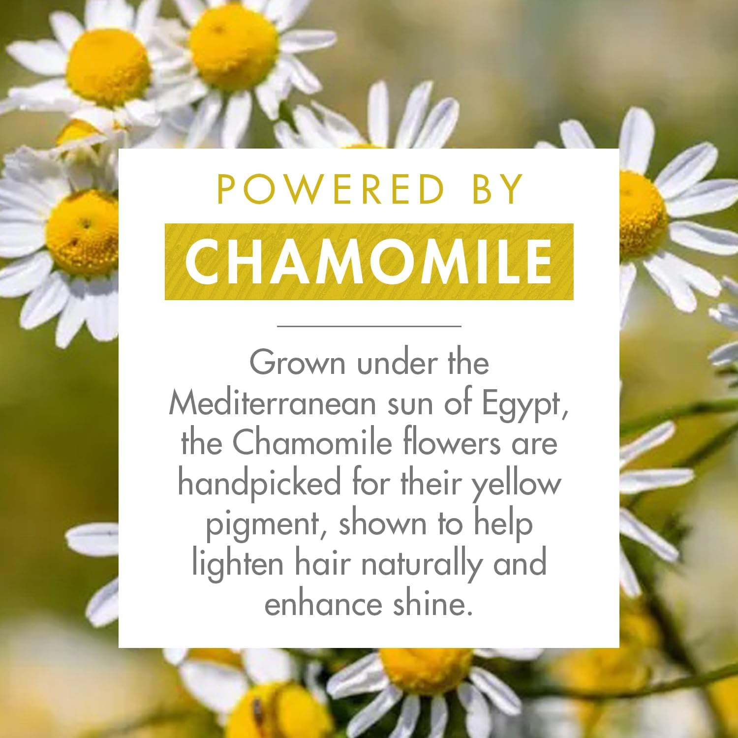 Klorane Shampoo with Chamomile (Brightening Blonde Hair) 400Ml/13.5Oz image number 1