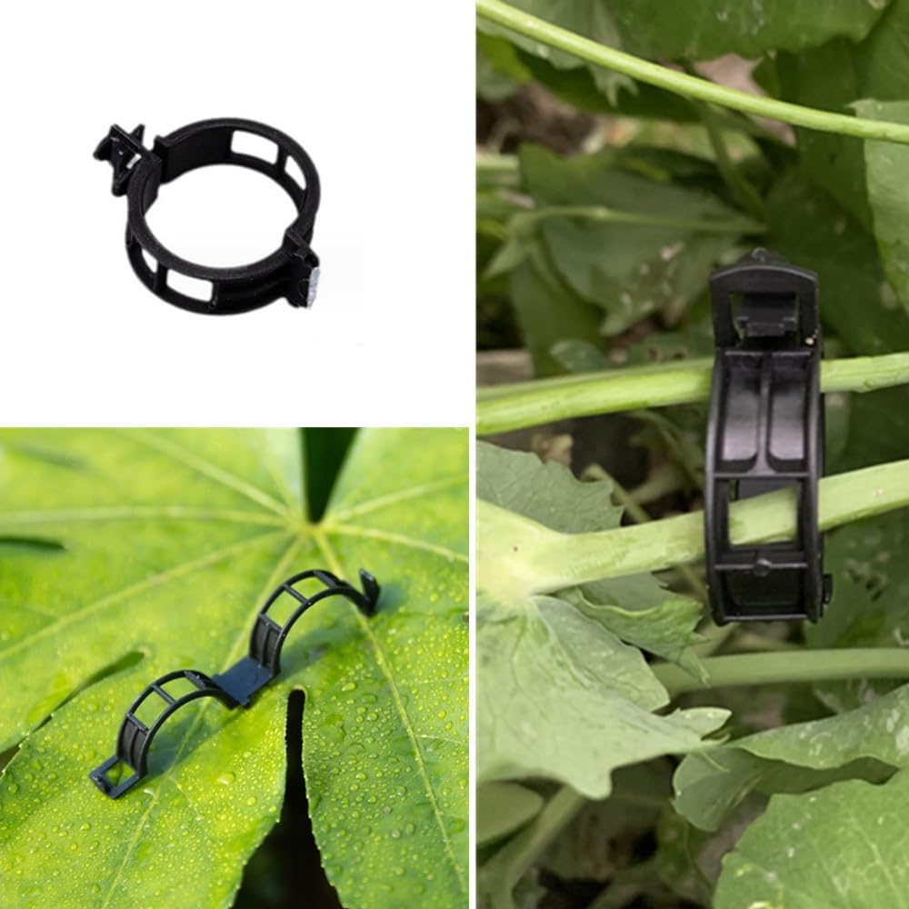 Tomato Clips for String Trellis, 100 PCS Plant Support Garden Clips, Cuicanfla Plant Support Garden Clips, for Potato Vine Vegetables,Tomato Trellis Clips,Makes Garden Vegetables to Grow Upright image number 3