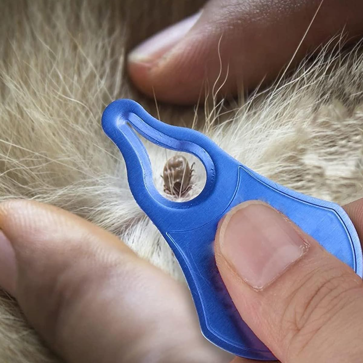 AIMALL Tick Removal Tool for Pets, High Strength Aluminium Lice Clip for Dogs & Cats, Easy Carry Keychain Design, Tick Removers, Flea & Tick Extractor image number 2