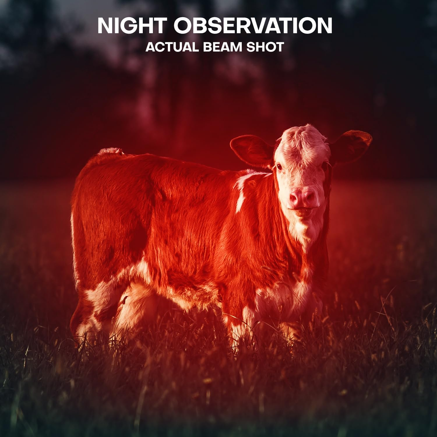 2 Pack Red Flashlight LED Single Mode Light 1 Mode LED Torch Scalable Red Light Flashlight for Astronomy Aviation Night Observation image number 6