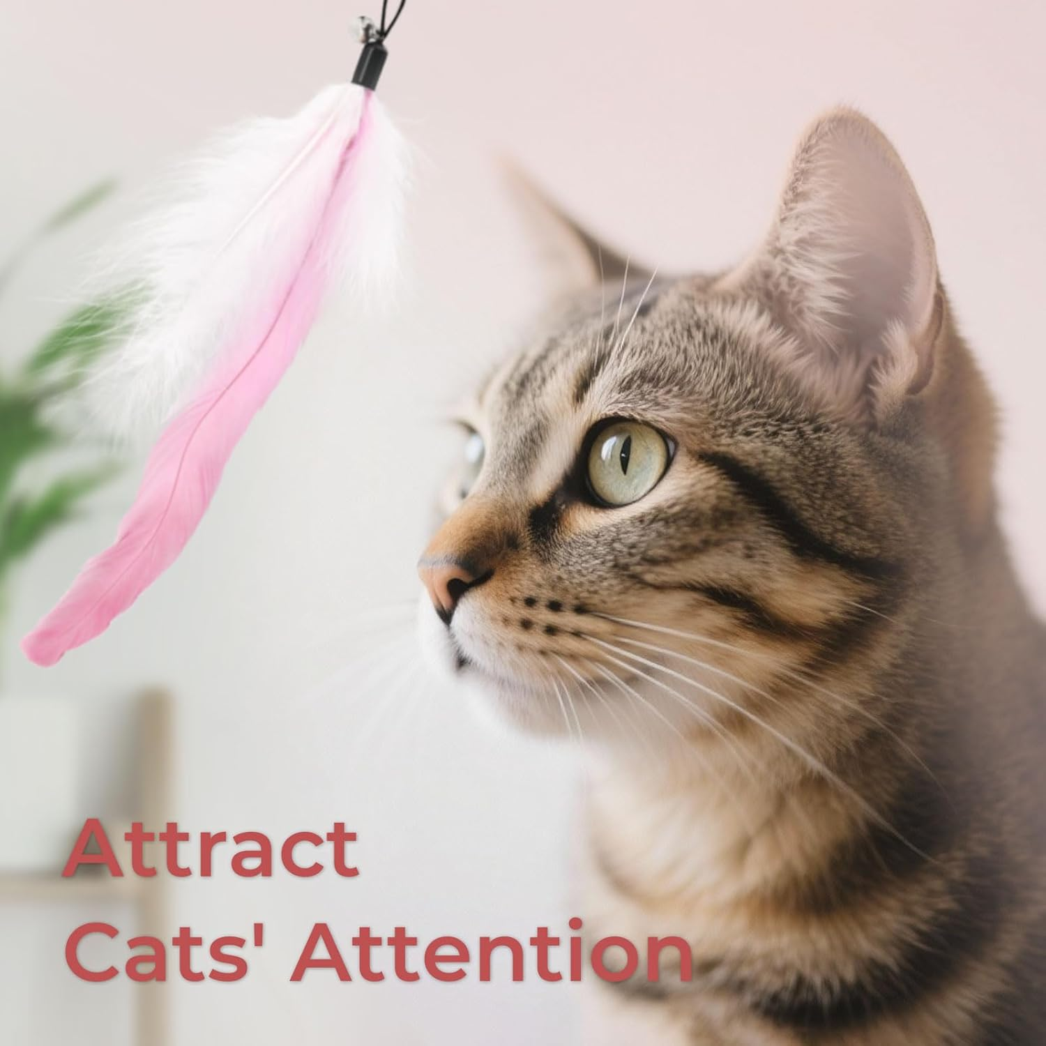 SONGWAY Cat Toy Wand Replacement - 6 Pieces Cat Toys, Cat Feather Toy Refills, Cat Teaser Wand Attachments, Interactive Cat Toys for Indoor Catspink image number 3