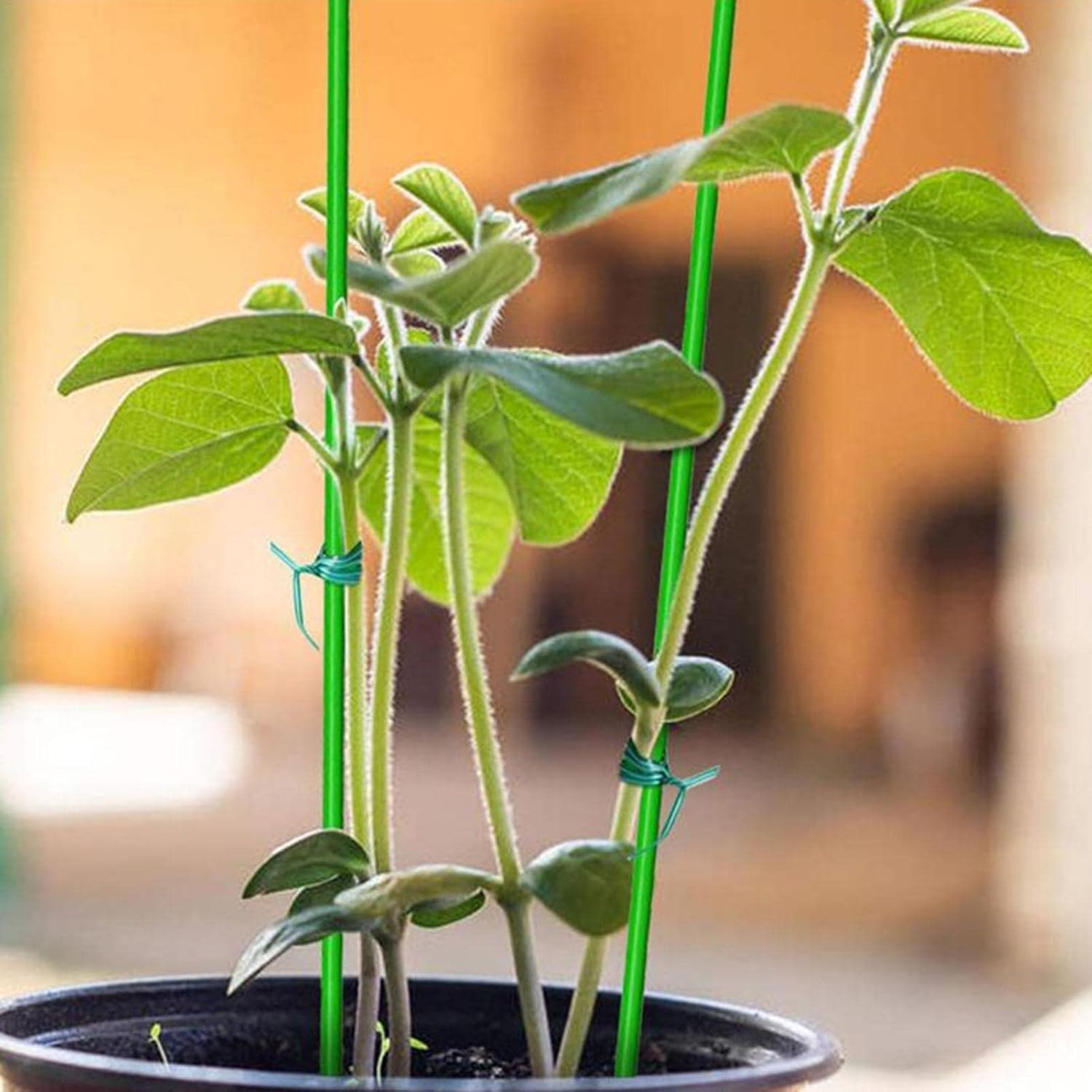 Plant Ties for Support,Garden Support Ties - Gardening Plant Support, Green Florist Wire with Cutter, Floristry Arrangement Supplies, Universal Wire (Size : S) image number 5