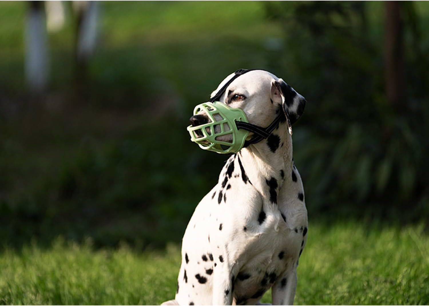 Dog Muzzle, Rubber Pet Muzzler, Adjustable and Breathable Dog Mouth Cover and Accidentally Eating Fluorescent Green, Multiple Sizes Available (XS) image number 6