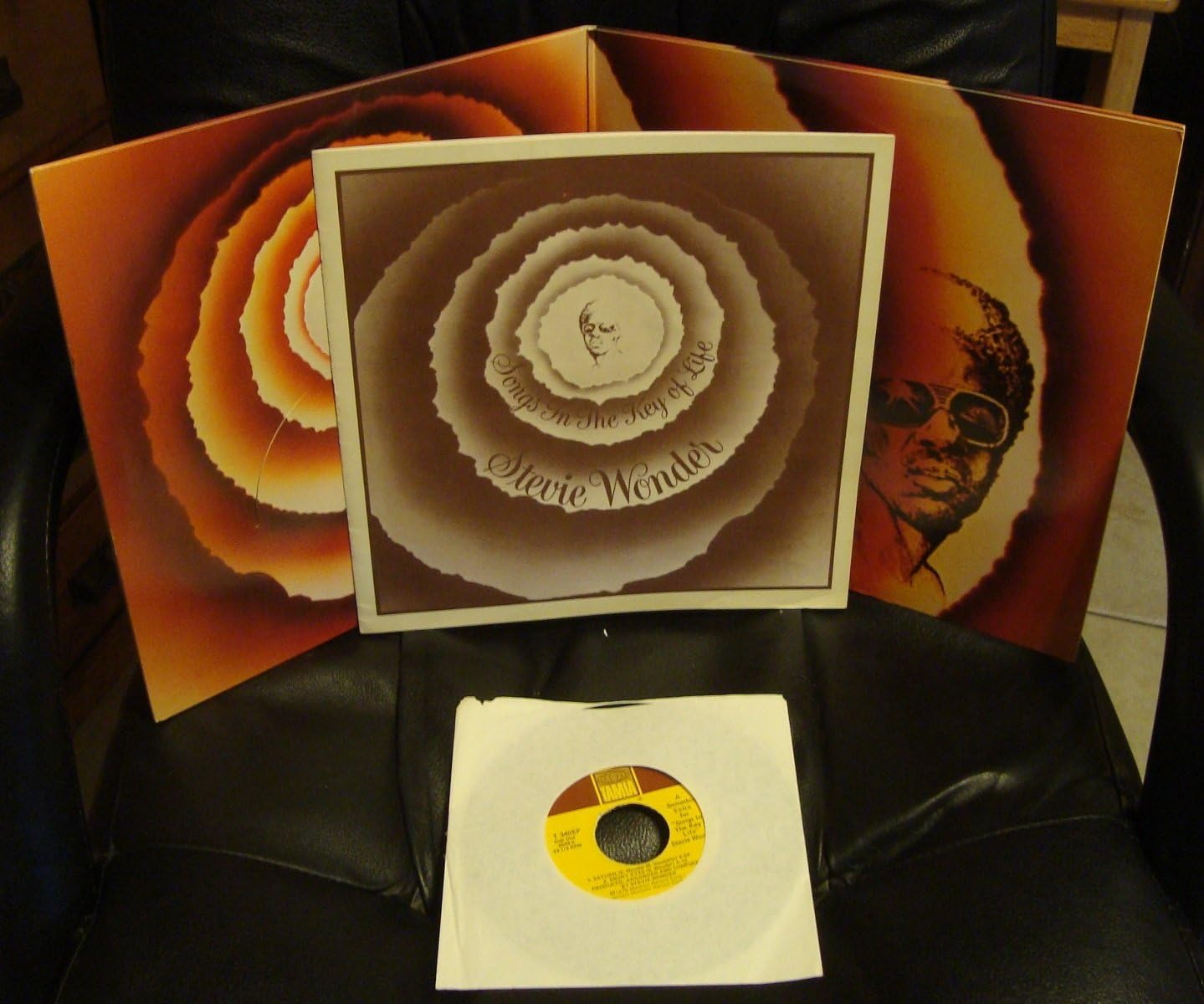 Songs in the Key of Life image number 3