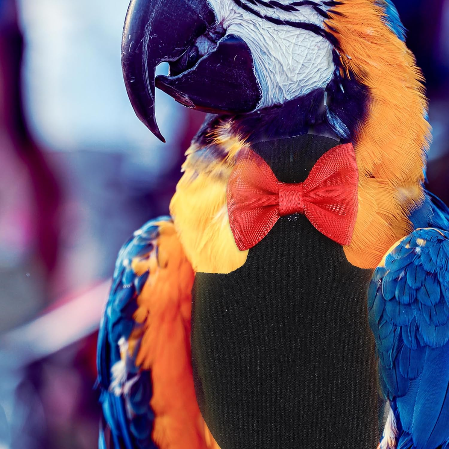 Balacoo Bird Diaper with Bow Bird Flight Suit for Budgie Parakeet Cockatiel Cockatoo African Macaw image number 5