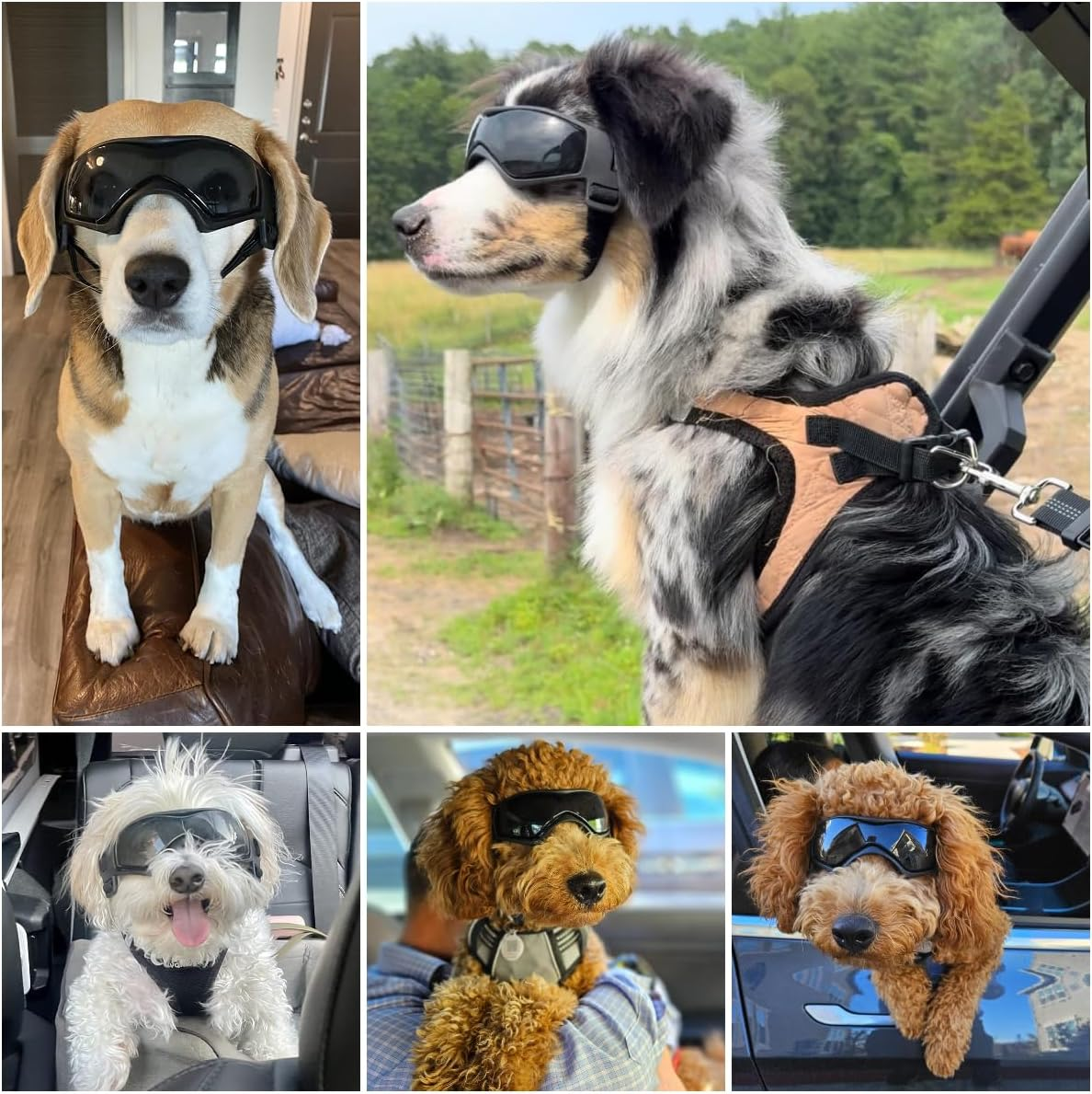 Namsan Dog Sunglasses Anti-Uv Waterproof Windproof Adjustable Dog Safety Glasses Suitable for Small and Medium Dogs (Black) image number 2