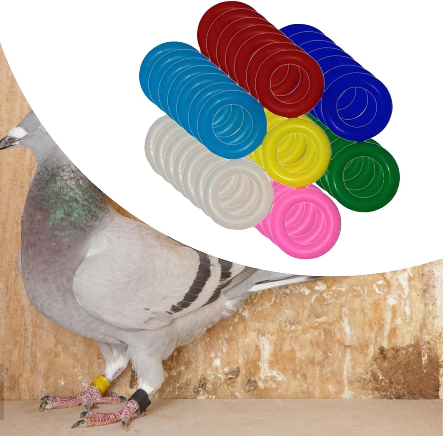 Whtkoph 100 Pcs Bird Leg Rings Foot Bands Rubber Bird Leg Bands Identification Leg Rings for Pigeons Routine Peonies, 9Mm
