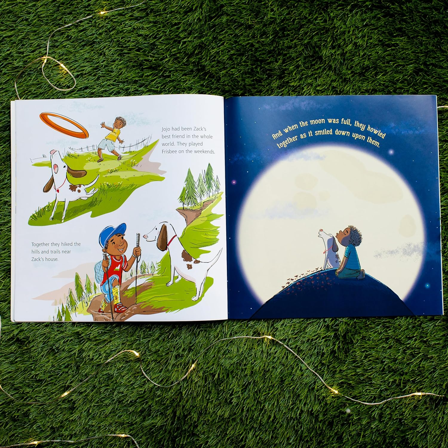 The Invisible Leash: a Story Celebrating Love after the Loss of a Pet: 3 image number 1