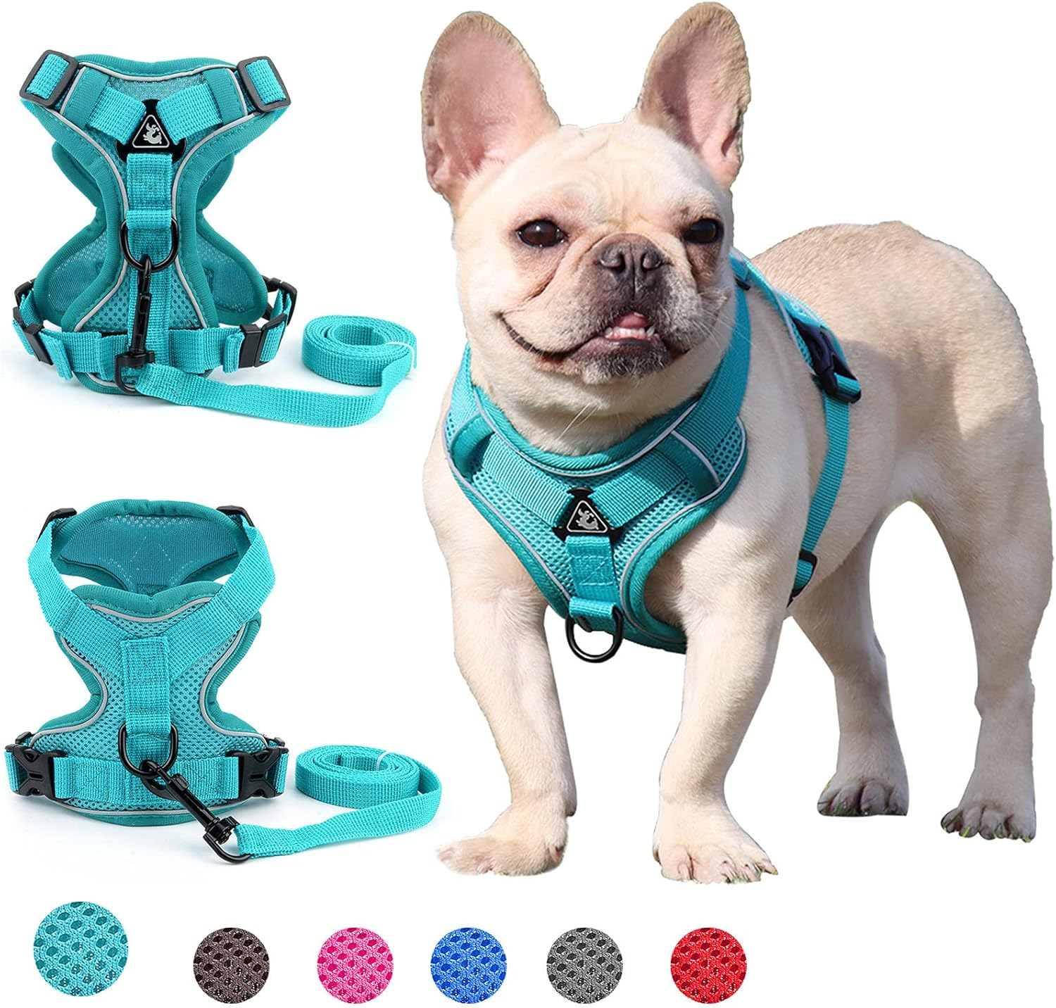 Zunea No Pull Dog Harness for Small Medium Dogs Puppy Cats Vest Harness Lead Set Adjustable Reflective Breathable Mesh Lightweight Pet Harnesses Escape Proof for Walking Training Green S image number 6