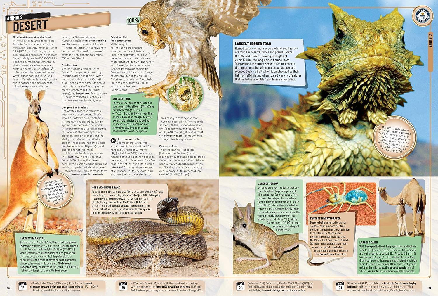 Guinness World Records 2020 image number 5