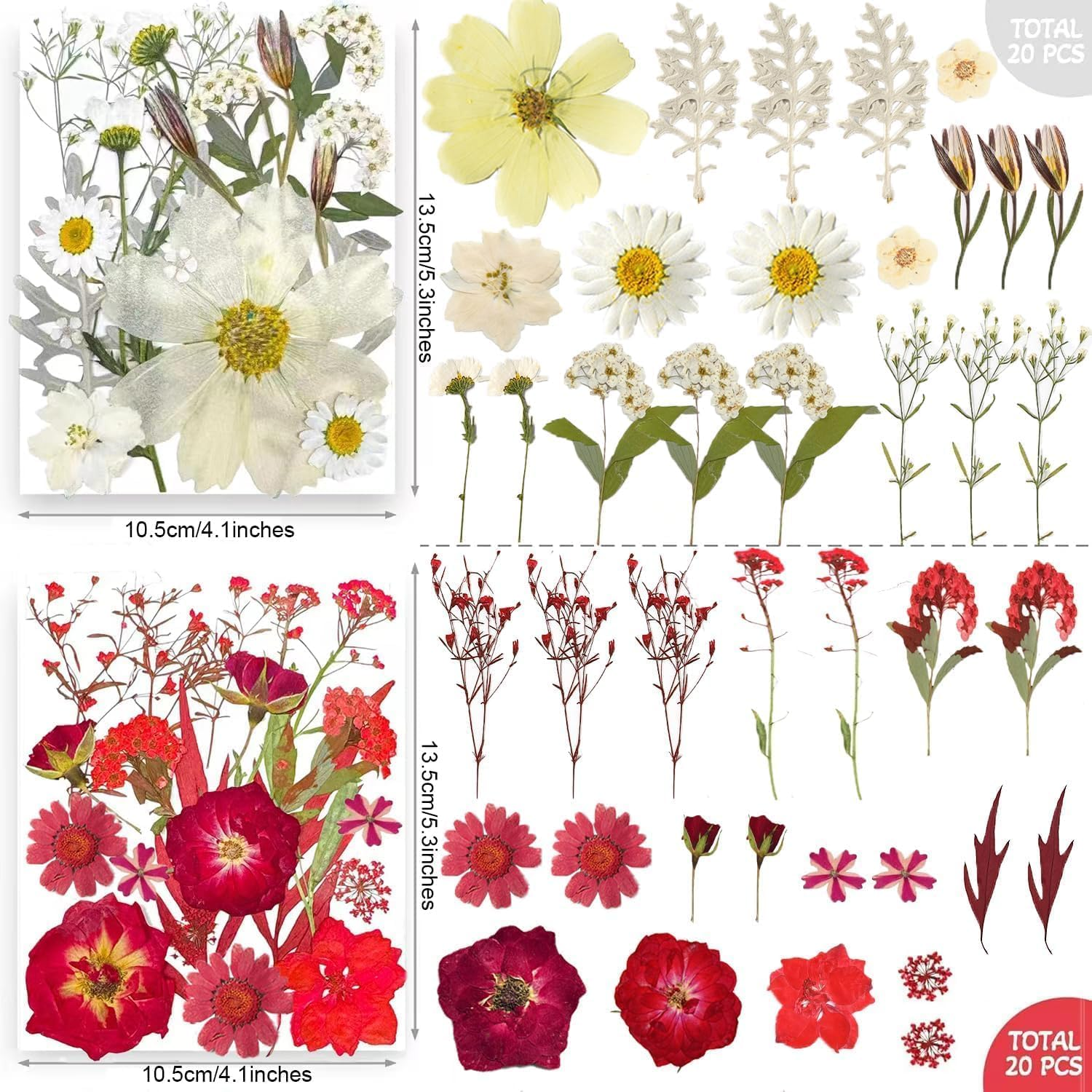 200Pcs Dried Pressed Flowers Leaves for Crafts, Real Natural Dry Pressed Flowers for Resin Molds Nails Art Candle Making Phone Cases DIY Art Crafts image number 1