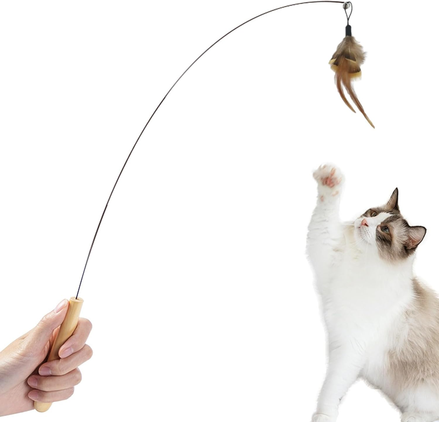 Hyxodjy Pack of 8 Cat Feather Toy, Cat Toy Set, Cat Toy Feathers, Replacement Cat Feather Toys, Cat Toy with Feathers, Interactive Cat Toy for Cats and Kittens image number 2