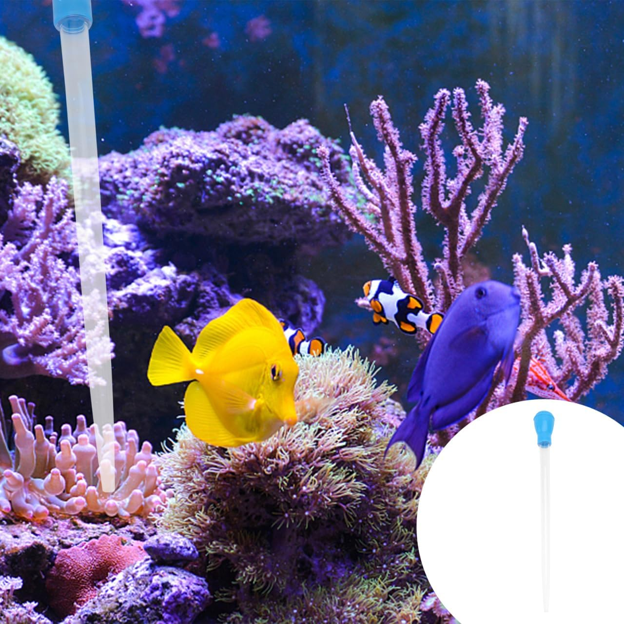 Ipetboom Turkey Baster Long Aquarium, 17Inch Fish Tank Coral Feeder, Fish Tank Gravel Mini Vaccume Pipettes Aquarium, Coral Food Feeding Tool for Marine Reef Aquatic Plant image number 2