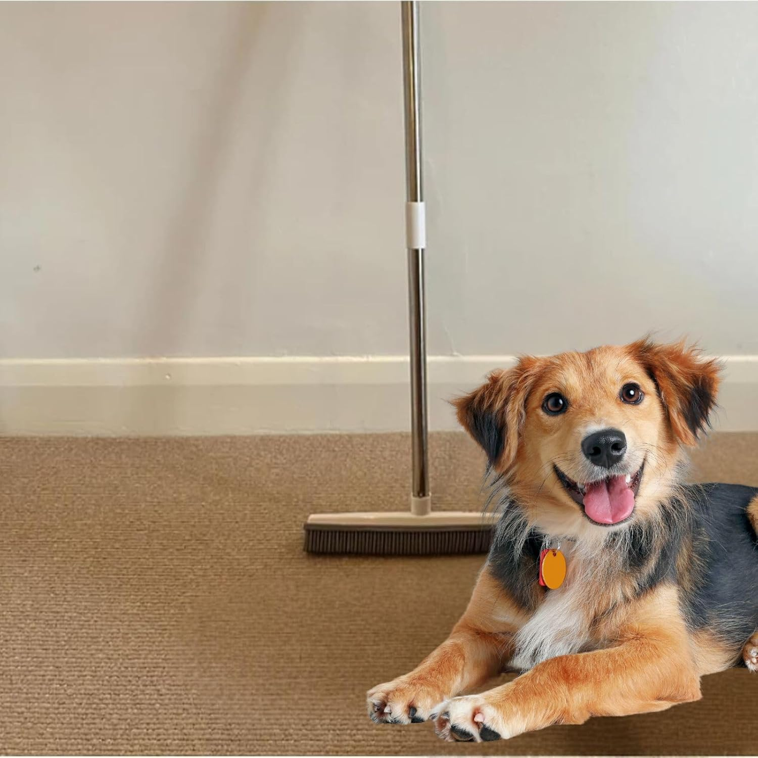 Petibo Pet Broom,Petibo Pet Hair Remover Broom,Petibopet Hair Removal Broom,Petibo Pet Fur Removal Broom,Pet Hair Removal Broom,Silicone Broom Pet Hair,Carpet Broom for Pet Hair (Black) - Blue image number 5