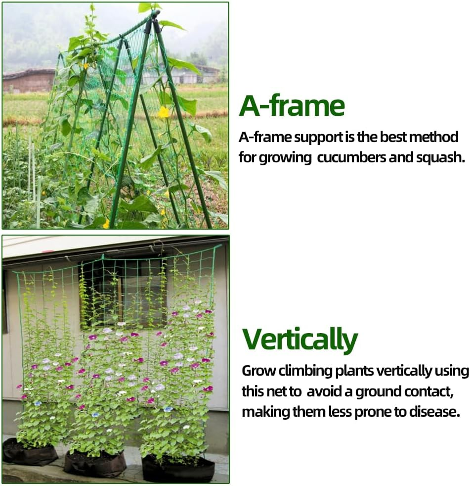 Skycabin 1.7X 4 M Plastic Pea and Bean Netting Fence Trellis Netting Green Climbing Netting Support for Climbing Plant, Fruits, Vegetables, Vines, Grow Tents image number 2