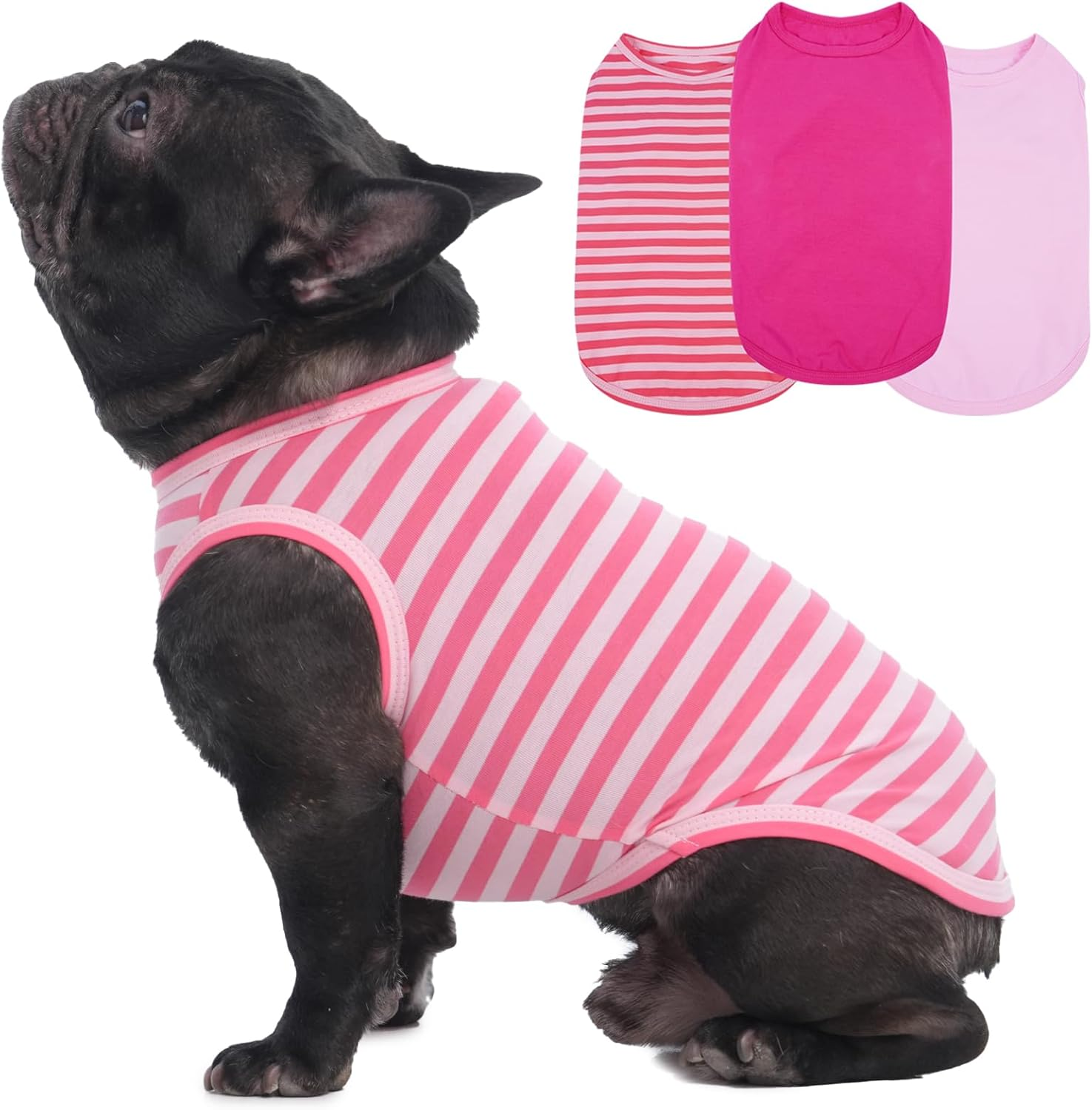 Dog Shirt 3-Pack - Summer Cooling Shirts for Small to Medium Dogs | UV Protection, Breathable & Soft Tees for Sun Safety Purple