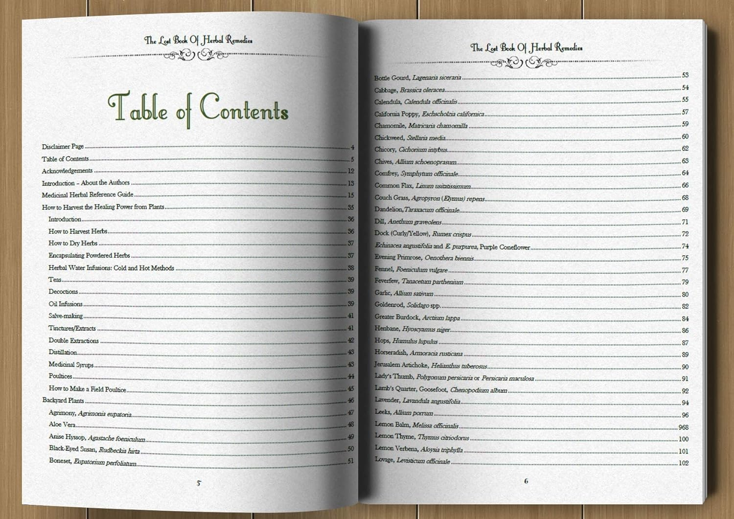 The Lost Book of Herbal Remedies - Paperback image number 2