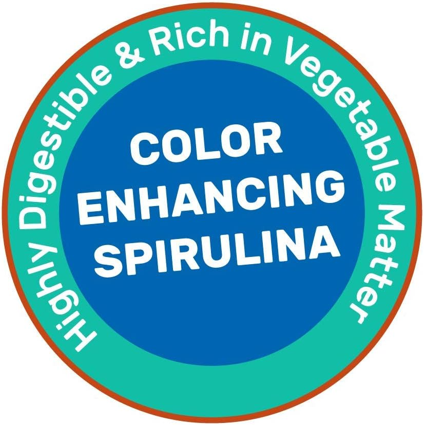 Hikari 8.8-Ounce Cichlid Excel Floating Pellets for Pets, Mini image number 1