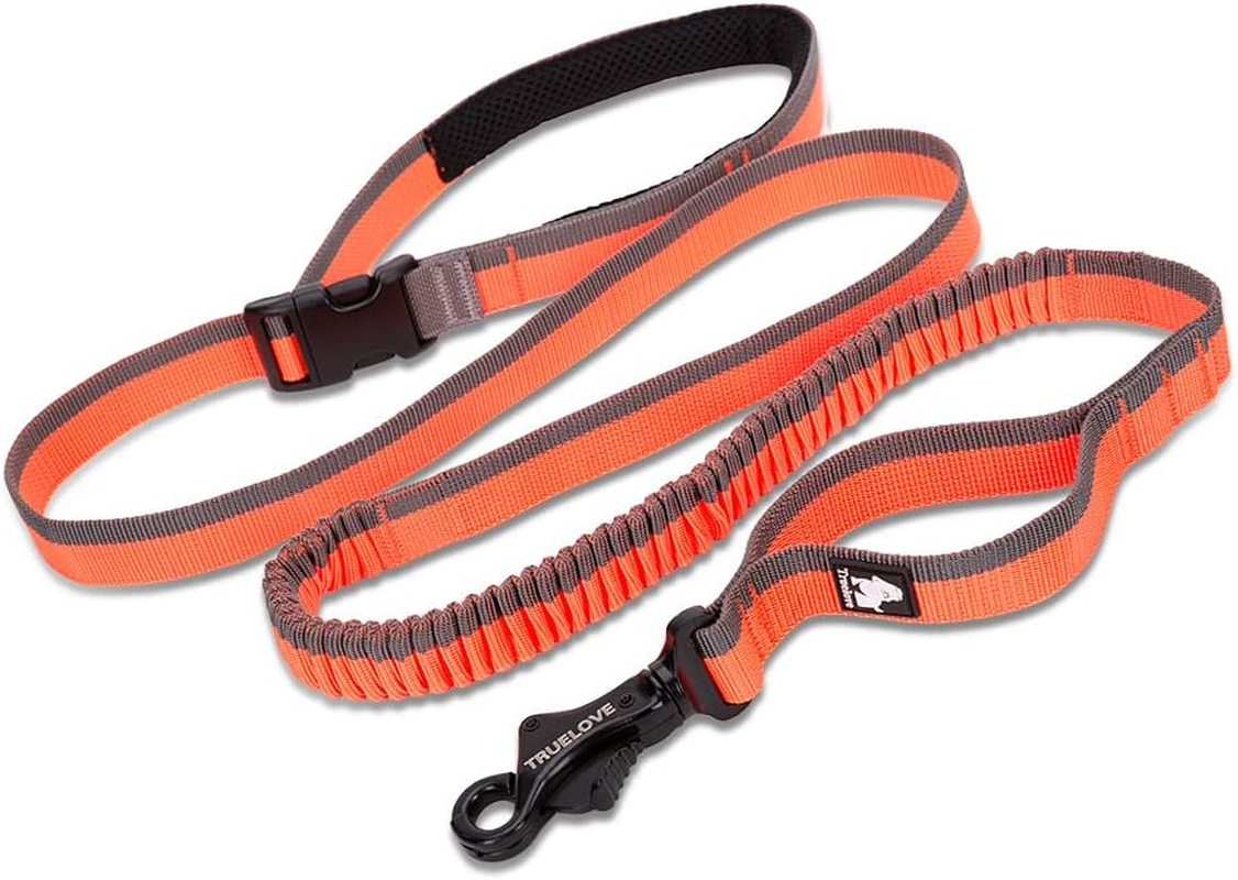 TRUE LOVE Training Lead Hands Free Leash Padded Handle Dog Walking Rope Tll2271(Black, M)