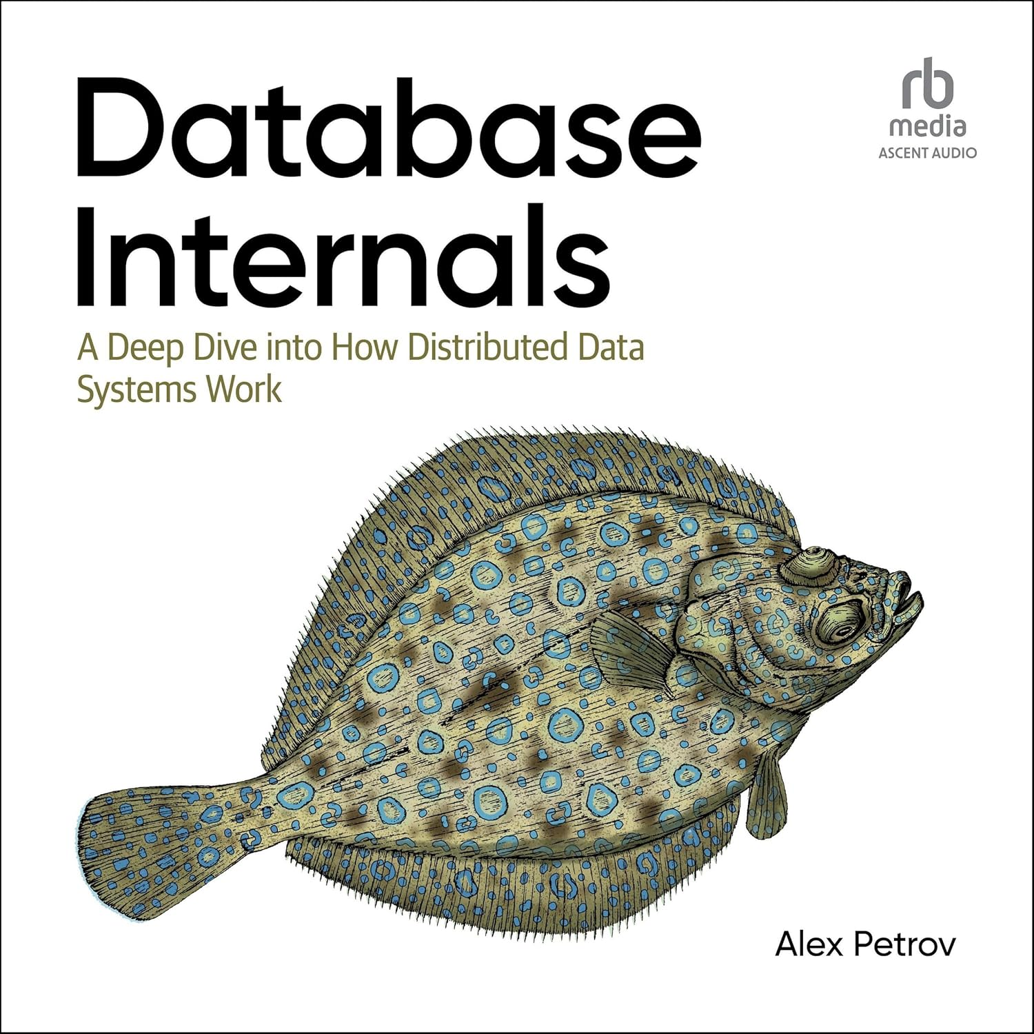 Database Internals: a Deep-Dive into How Distributed Data Systems Work image number 1