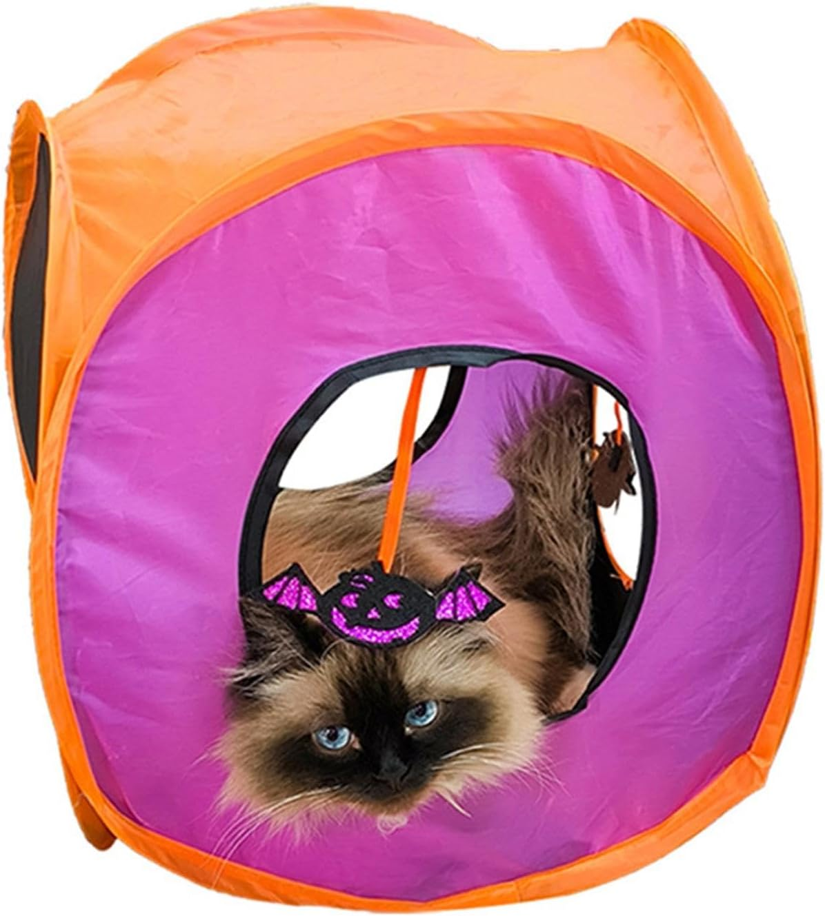 Interactive Cat Toys | Cute Cat Tunnel Toy - Halloween Cat Feather Wand Ball Spring Mice Toys, Folding Square Channel Kitten Starter Kit for Pets image number 4