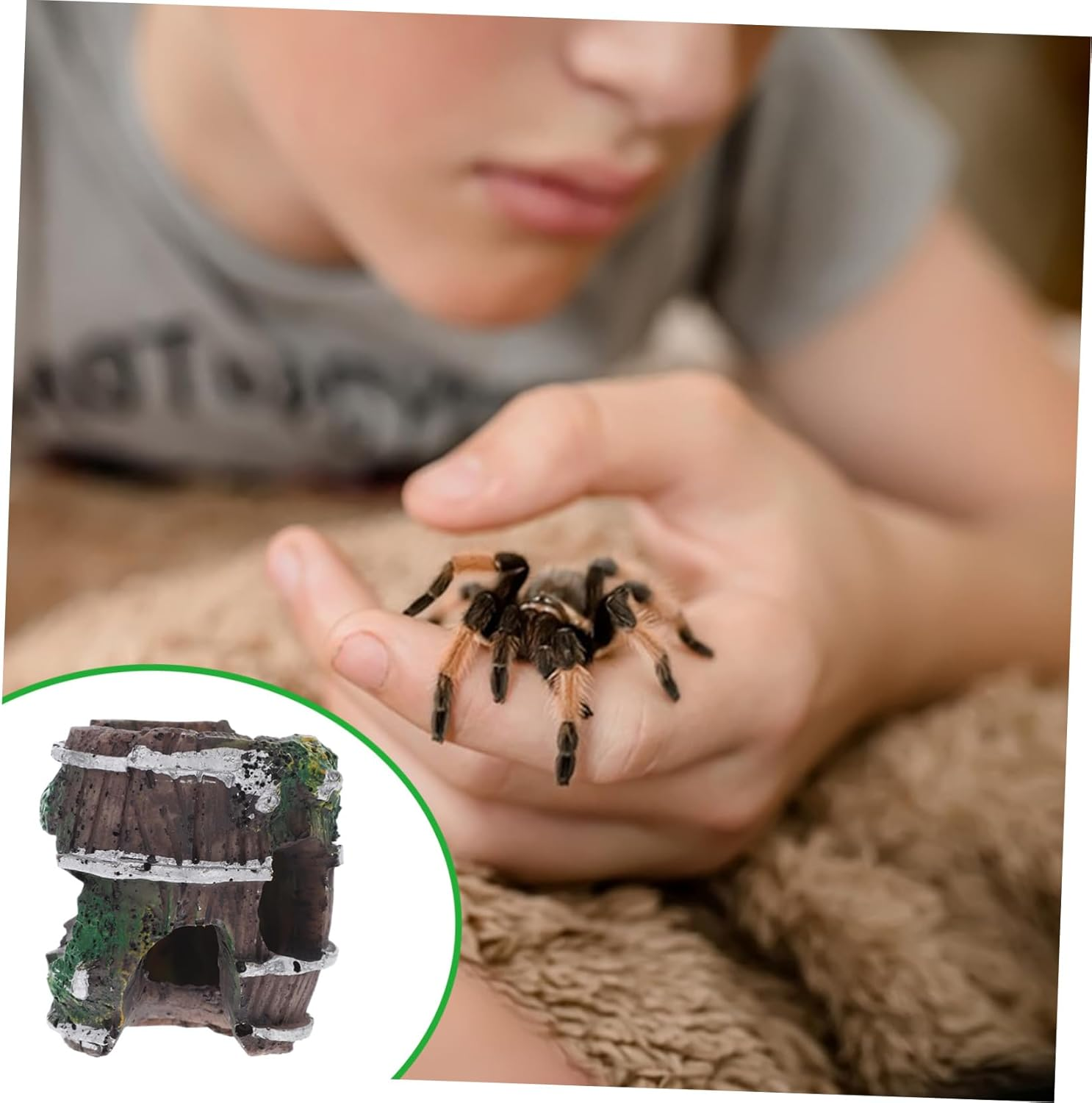 BUGUUYO Reptile Spider Cave Hiding Ornament Fish Tank Shrimp Hideout Abs Material Decor for Pet Habitat Easy Maintenance