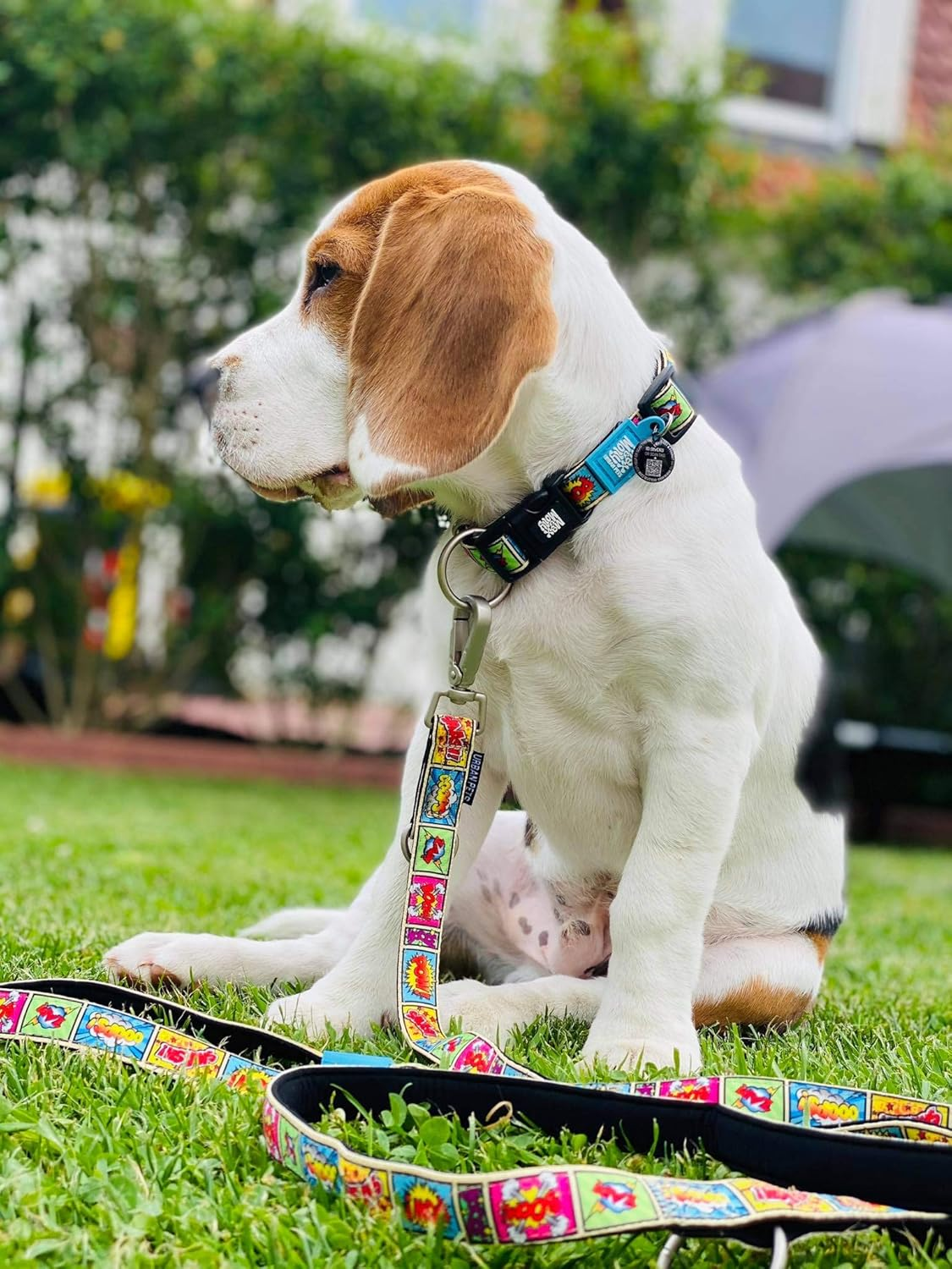 Comic Smart Id Collar | Comfortable | Odor Free Neoprene | Smart Id Tag | Lost Pet Protection Program | Extraordinary Dog Collar, L image number 1