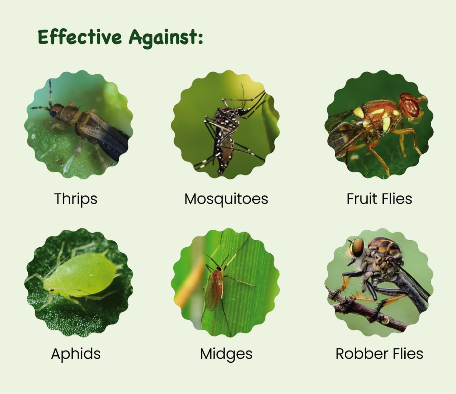 Sticky Insect Traps 40 Pcs - Gnats Fruit Fly Traps for Indoors House - Yellow Double-Sided Sticky Insect Catchers Fungus, Fruit Flies, Whiteflies, Aphids, Leaf Miners image number 3