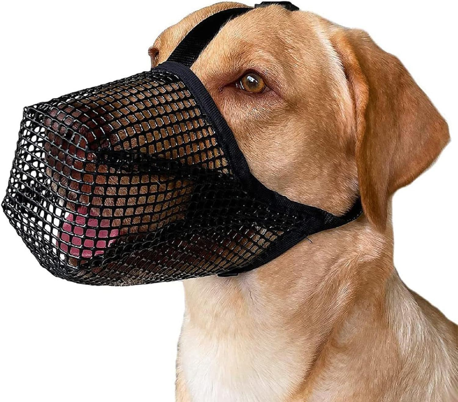 Dog Mask, Soft Mesh Mask, round Mesh Dog Mask, Prevents Eating, Biting and Chewing, Adjustable Poison Bait Protective Mask Suitable for Small and Medium-Sized Dogs (Black, M) image number 5