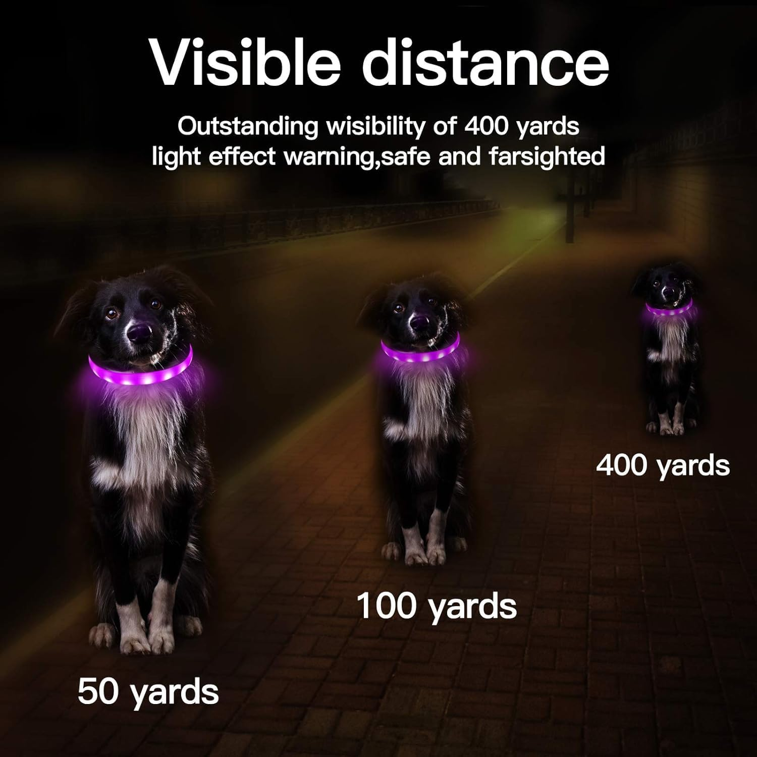 LED Dog Collar - Color Changeable Light up Dog Collars USB Rechargeable,11 Light Effects Glow in the Dark Collar Weatherproof Fits for Small Medium Large Dog,Keep Your Pets Seen Safety High Visibility image number 3