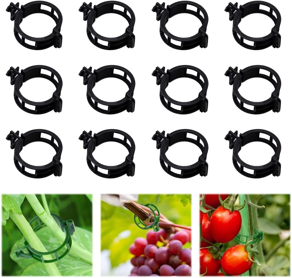 100Pcs Plant Support Clips for Climbing Plants, Reusable Plastic Trellis Clips for Tomato, Grape Vine, Vegetables, Garden Fixing Clips (100, Green)