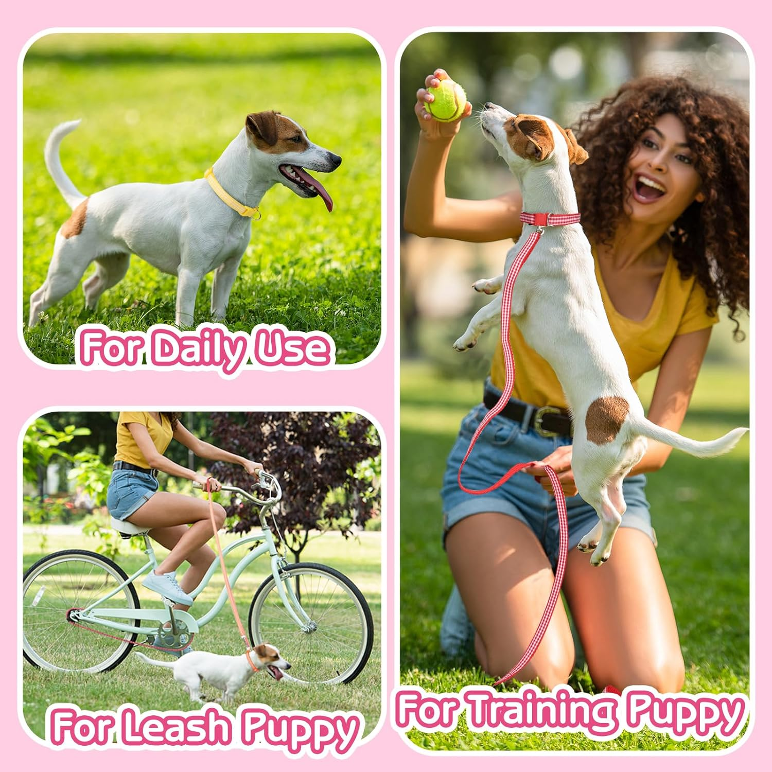 GGSTDDUP 36 Pcs Puppy Collar and Leash Set, Adjustable New Born Dog Collars and Leash Set Soft Nylon Whelping Puppy Collars for Litter Medium Small Dogs Walking Training image number 3