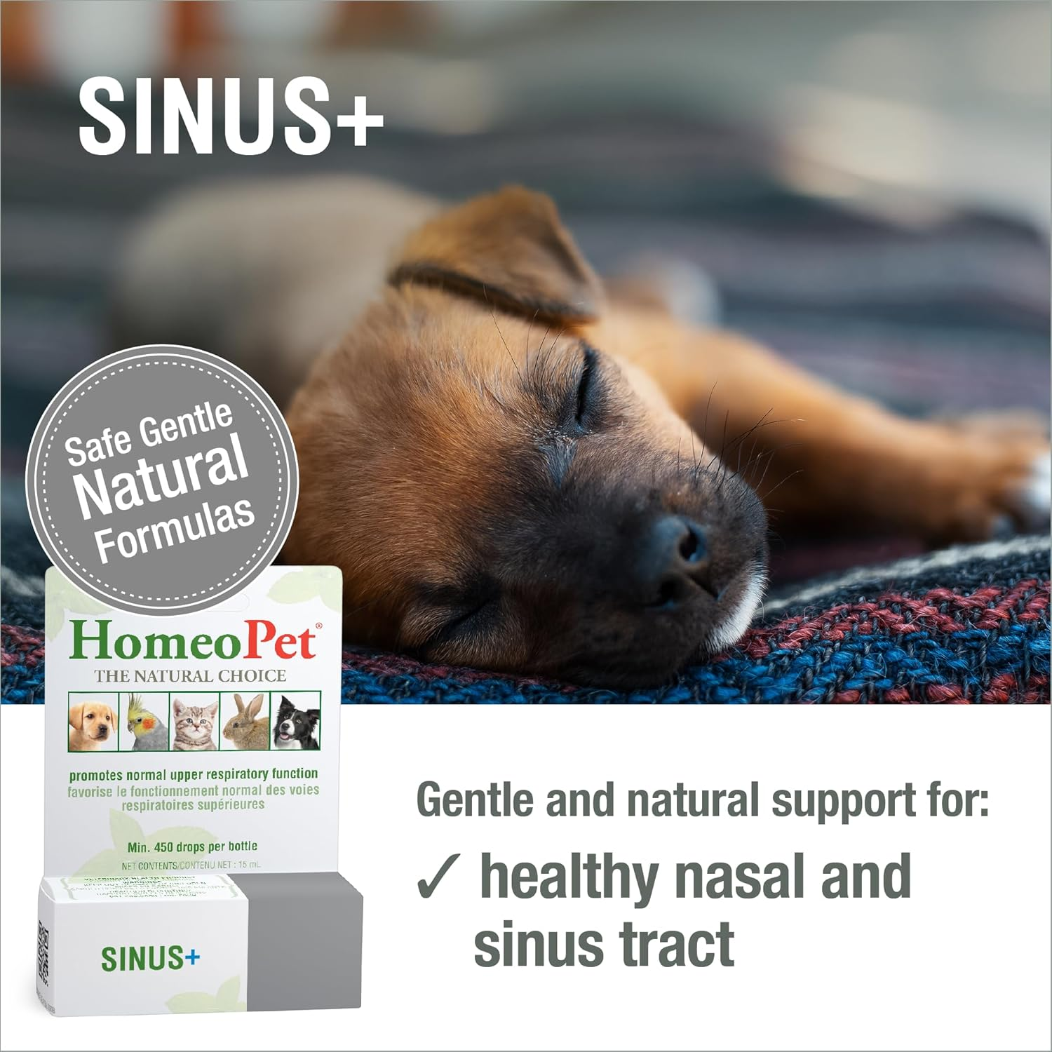 Homeopet Australia Sinus+ (Nose Relief in the USA) image number 4