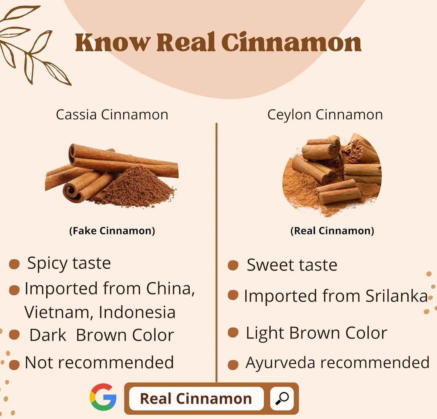 Real Ceylon (Sri Lanka) Cinnamon Sticks 100G (3.5 Oz) 5 Inch Premium Grade, Freshly Packed (Not Cassia Cinnamon) image number 3