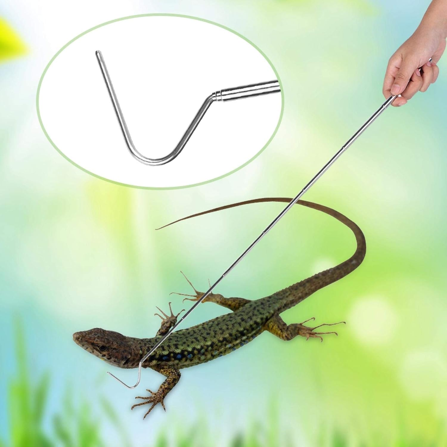 Snake Catcher, Capture Hook Tool Reptile Catcher, Telescopic Design Pets for Reptiles(66Cm) image number 4