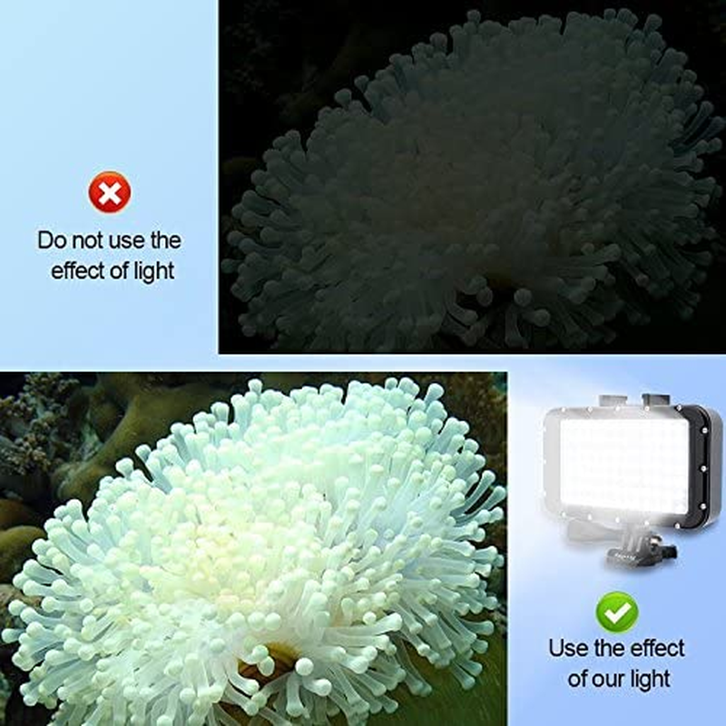 Suptig Underwater Lights Dive Light 84 LED High Power Dimmable Waterproof LED Video Light Waterproof 164Ft(50M) for Gopro Canon Nikon Pentax Panasonic Sony Samsung SLR Cameras Black image number 1