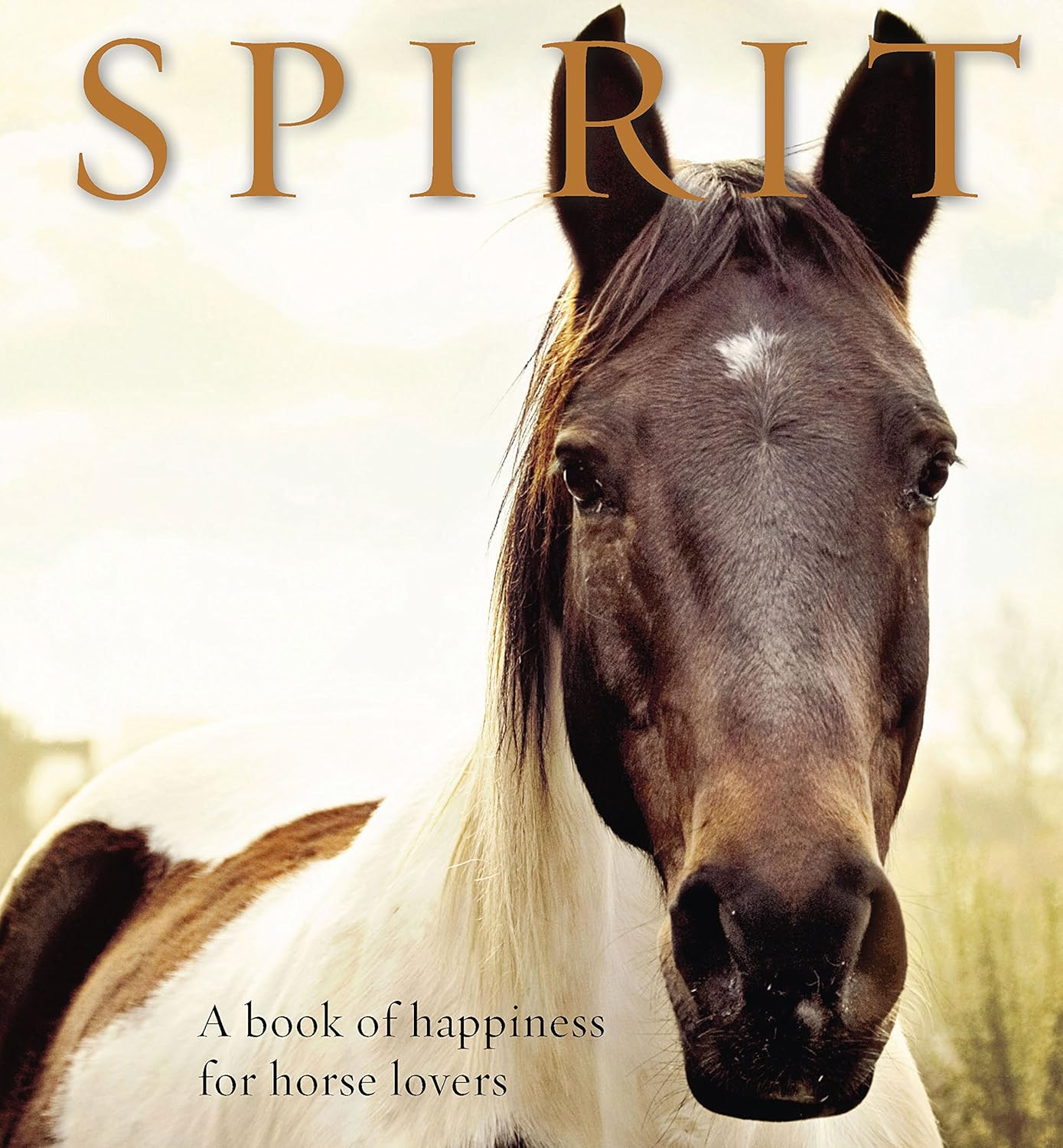 Spirit: a Book of Happiness for Horse Lovers image number 1