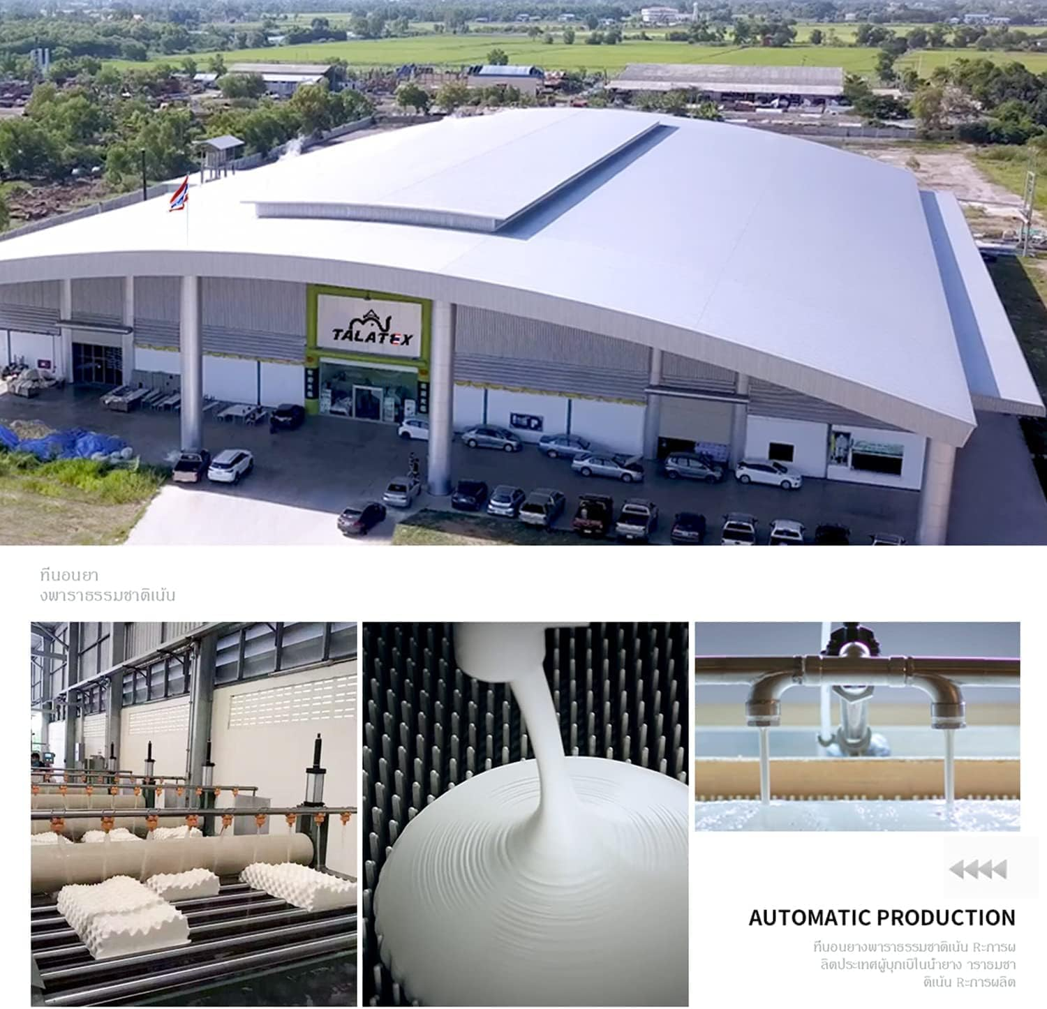 Talalay 100% Natural Premium Latex Pillow, No Memory Foam Chemicals, Resistant to Sagging, Perfect Package Best Gift with Removable Tencel Cover