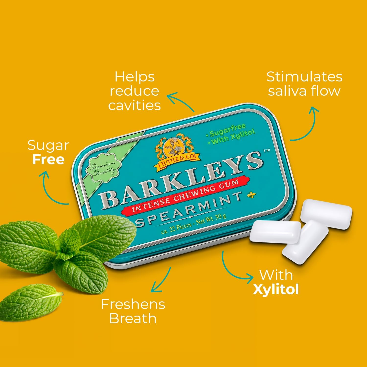 Barkleys Sugar Free Gum Spearmint G/F 30G image number 3