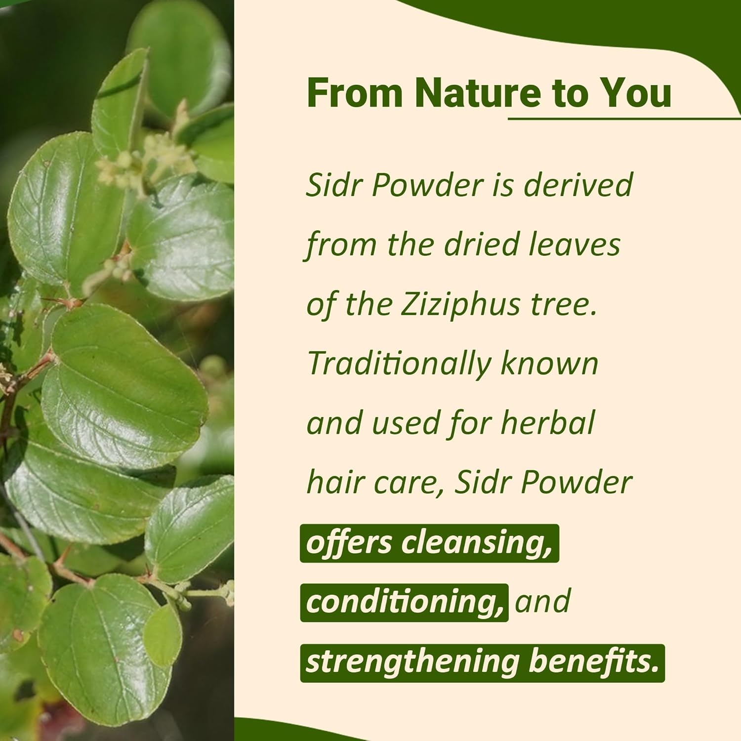 Mi Nature Sidr Leaves Powder | for Hair Care |Herbal Hair Care for Deep Cleansing and Conditioning | Natural Source of Mucilages and Saponins| Resaleable Pack |(100Gram/3.5Oz) image number 4
