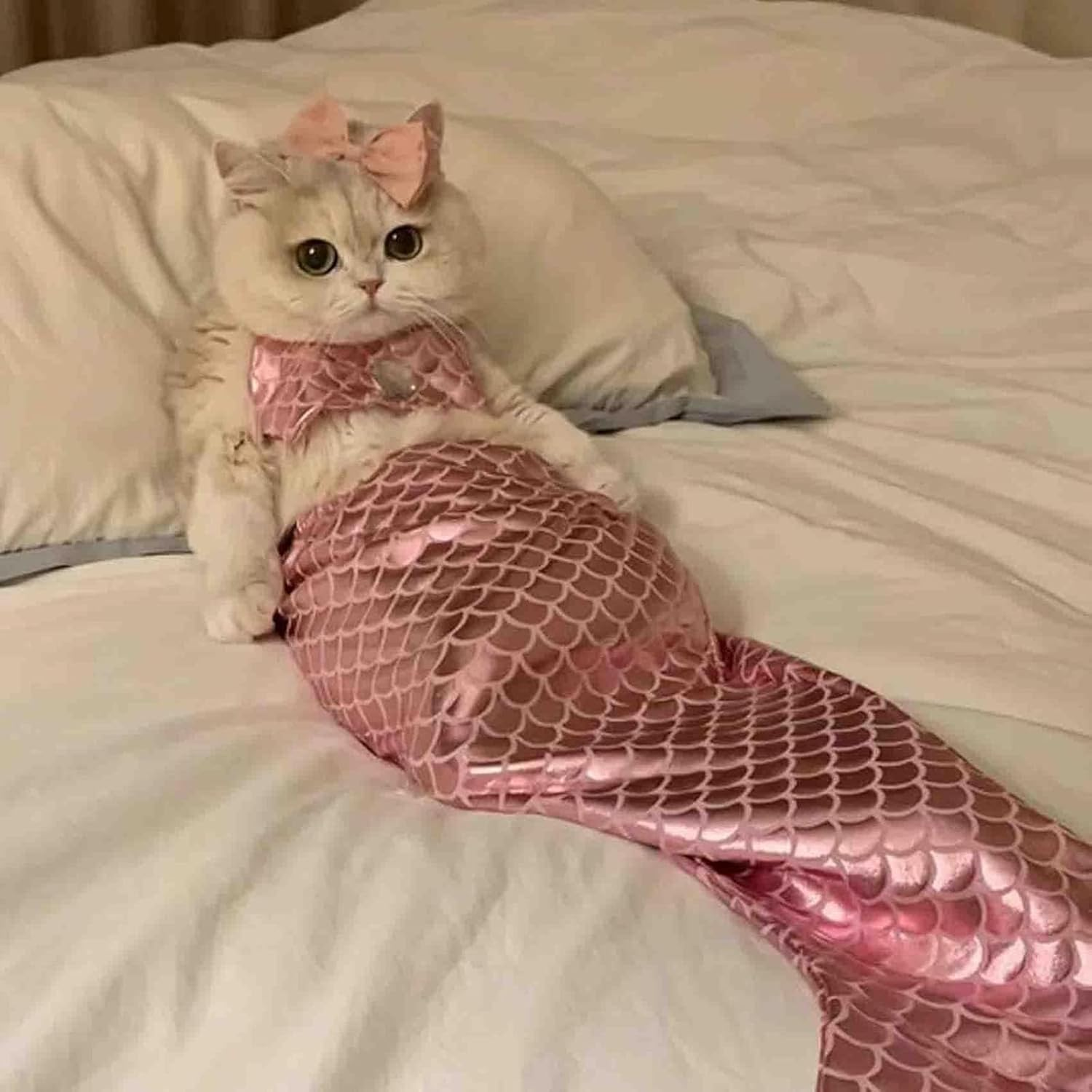 Cat Mermaid Costume - Mermaid Costume for a Small Dog or Cat, Mermaid Cat Costume, Cat Mermaid Outfit, Cat Mermaid Tail, Mermaid Costume for Cat, Funny Mermaid Cat Clothing (S,Green) image number 5