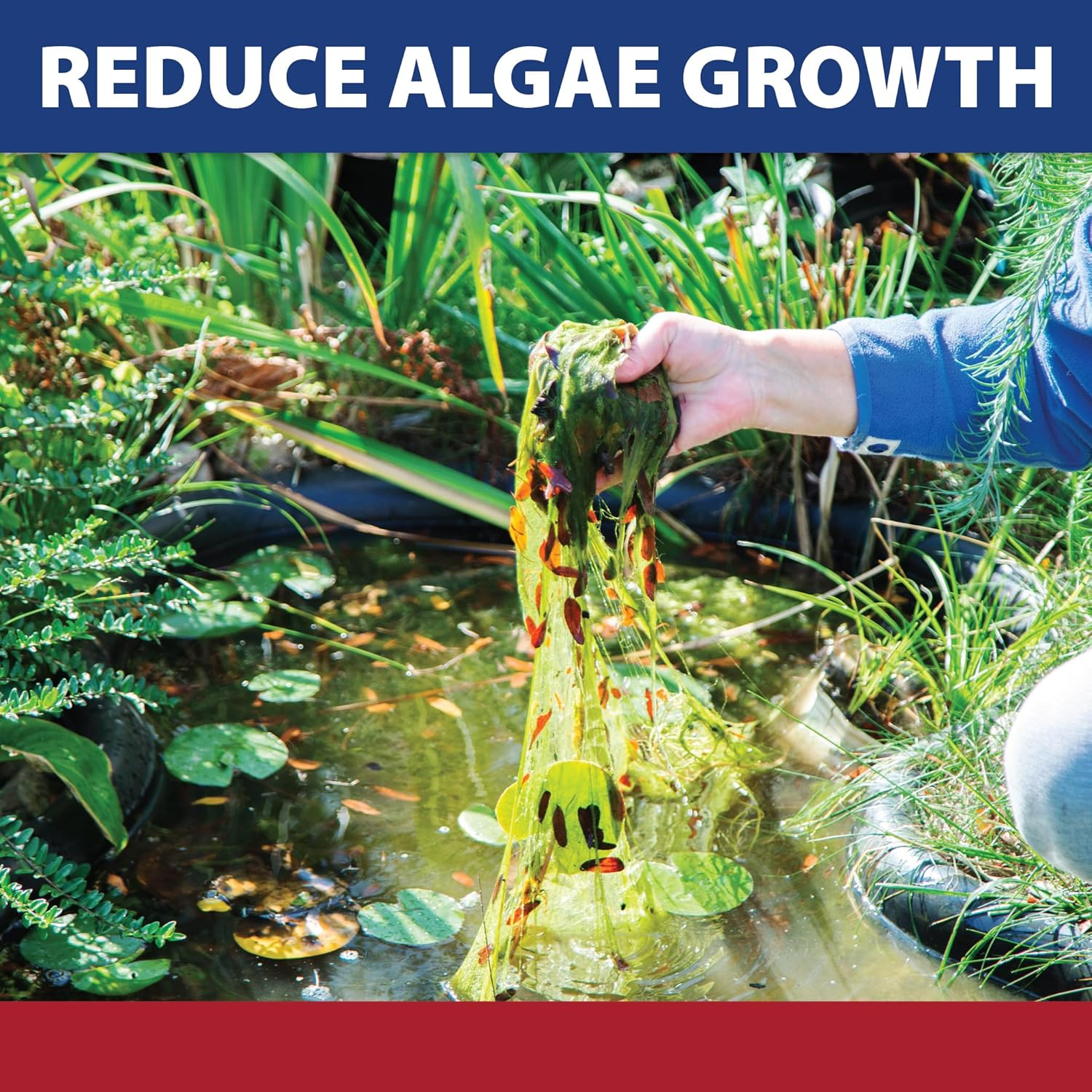 The Pond Guy Instafix Algae Control, Outdoor Water Garden, Fountain & Birdbath Algae Solution, EPA Registered Liquid Algaecide, Control Green Water & String Algae, Bird, Fish & Pet Safe, 16 Ounce image number 3