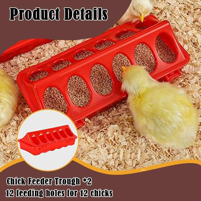 Poultry Feeding & Watering System with Comfort Perch, Durable Plastic Combo for Chicks/Ducks/Quail | Auto-Dispensing Troughs & Anti-Drown Design