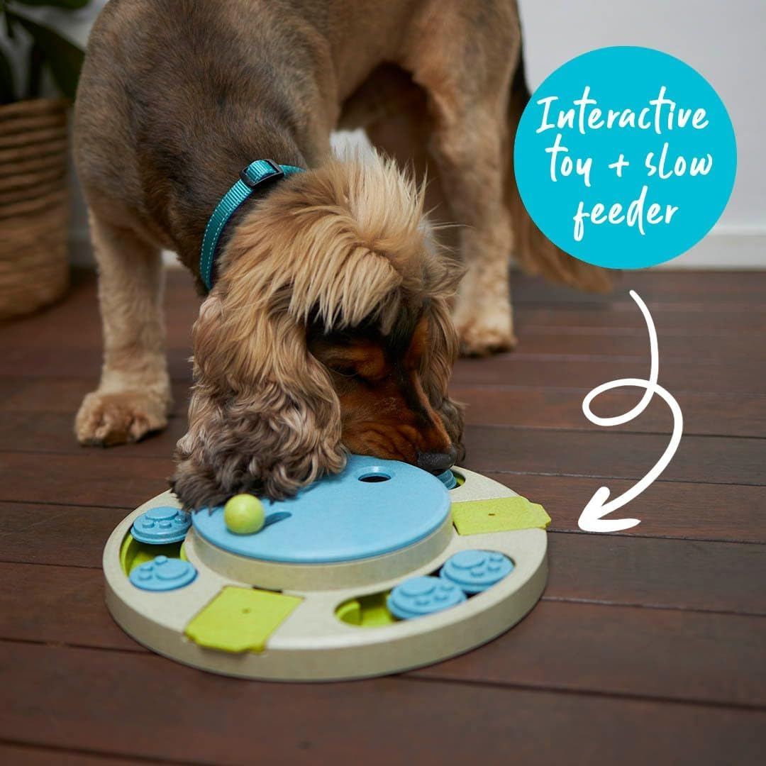 Kazoo Circle Slider Interactive Puzzle Play image number 2