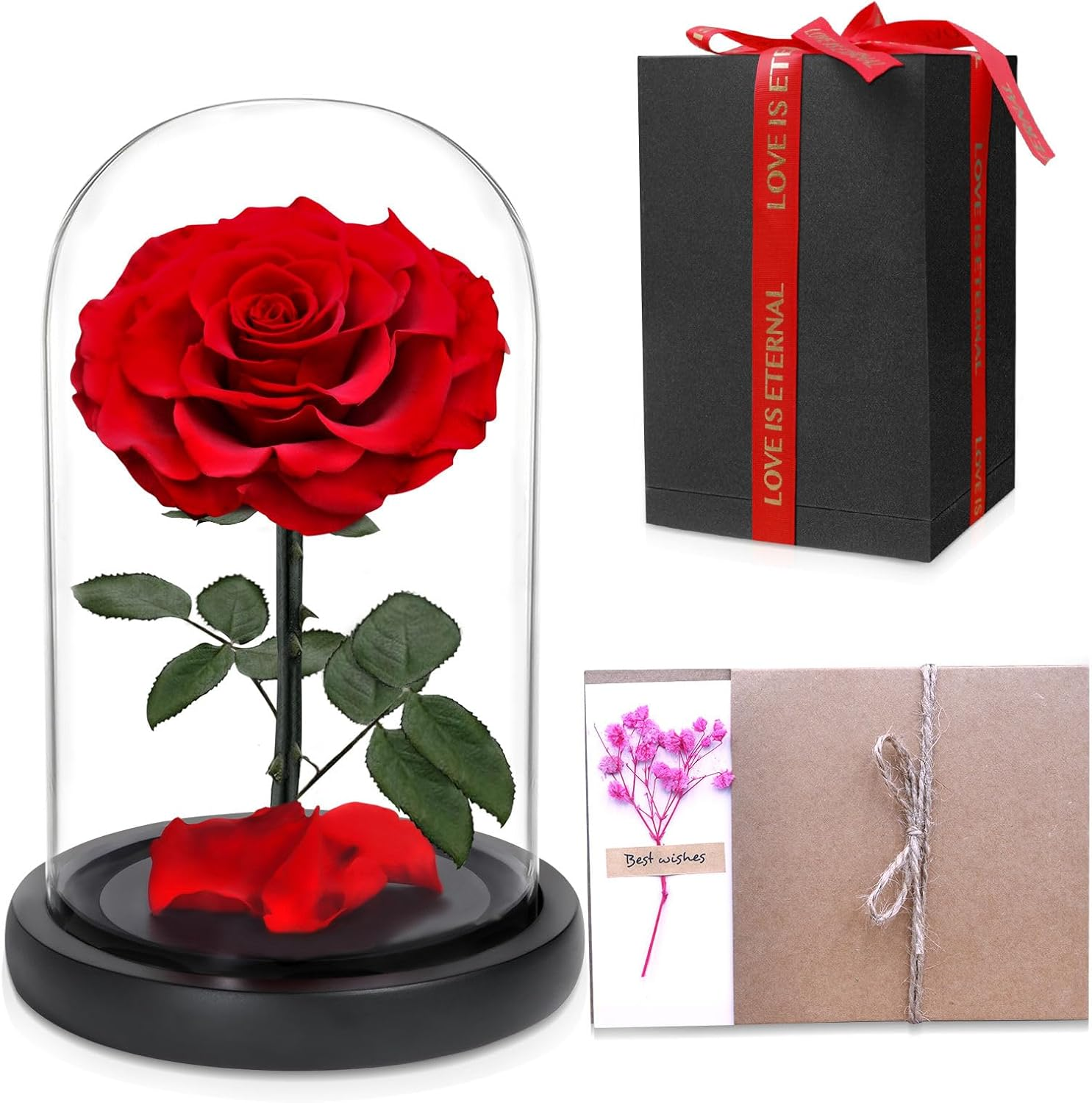 Forever Preserved Rose, Handcrafted Eternal Rose in Glass Dome, Beauty and the Beast Rose, Best Expression of Love for Women, Mother'S Day, Valentines Day, Christmas, Birthday, Anniversary