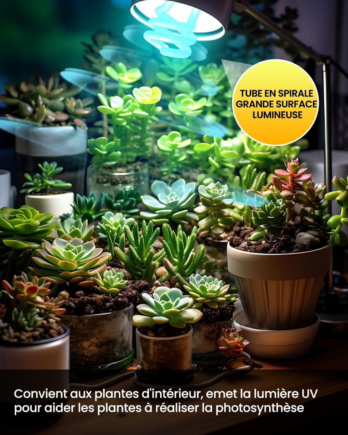 13W E27 UVA UVB Bulb Tortoise AC220-240V Uvb 5.0 Uvb Light Reptile Uvb Fluorescent Light Beam Angle 360&deg; UVA Lamp for Aquarium, Glass Container, Feeder, Turtle, Snake, Lizard, Etc (1Pcs)